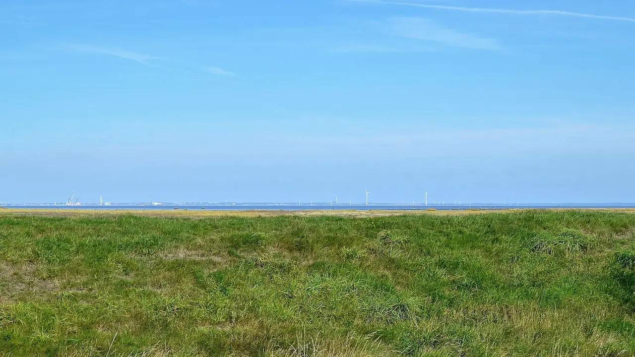 Ferienhaus für 6 Personen (130 m²) in Fanø in Sønderho, Wadden Sea National Park