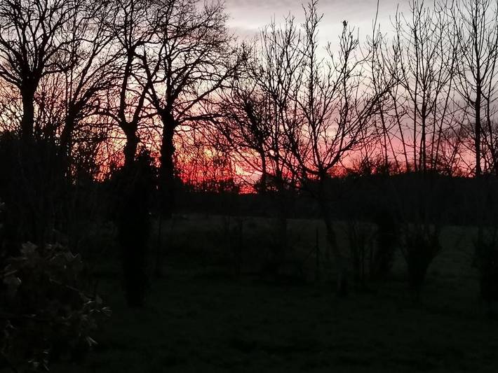 Chambre d’hôte pour 2 personnes, avec terrasse et jardin, animaux acceptés à Montfort-sur-Meu - 3