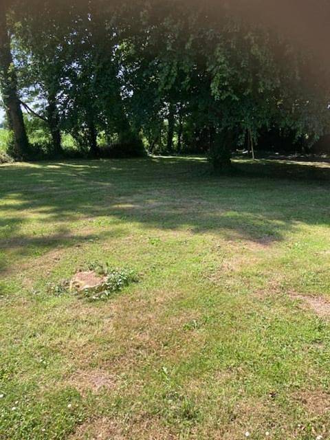 Maison d’hôte pour 7 personnes, avec jardin à Plouha - 3