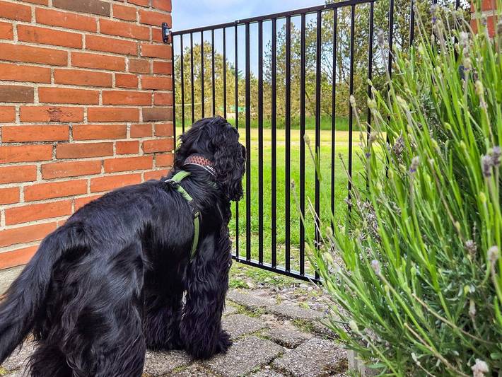 Ferienhaus für 12 Personen, mit Sauna und Terrasse sowie Whirlpool und Pool, kinderfreundlich in Vester Husby - 2