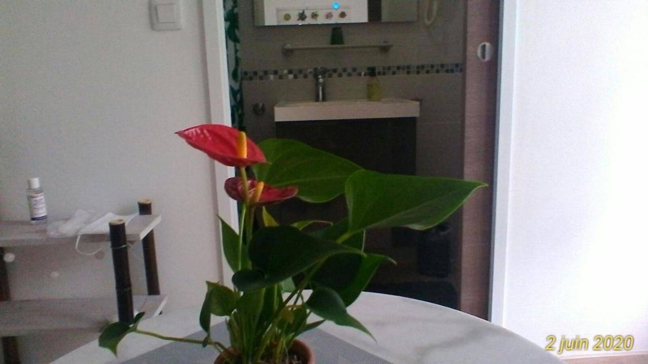 Double Room with Pool View in Landes