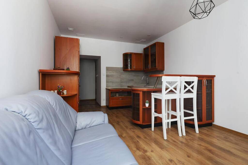 Cały apartament, One-Bedroom Apartment in Będzin, Śląsk