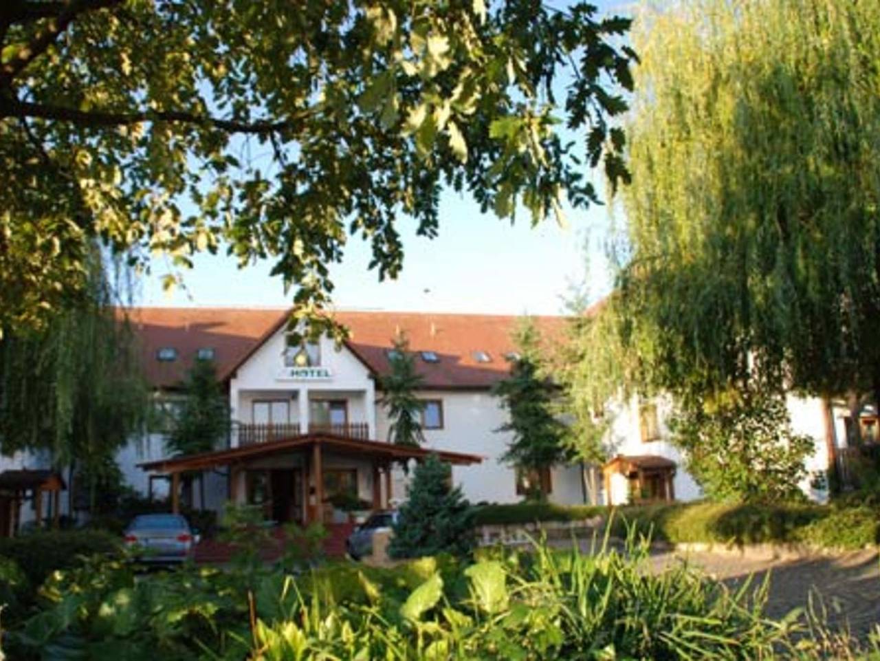 .Sachsenhotel - Einzelzimmer 1 in Torgau, Nordsachsen
