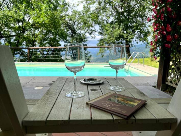 Villa per 4 persone, con giardino e piscina nonché panorama, con animali domestici - 1