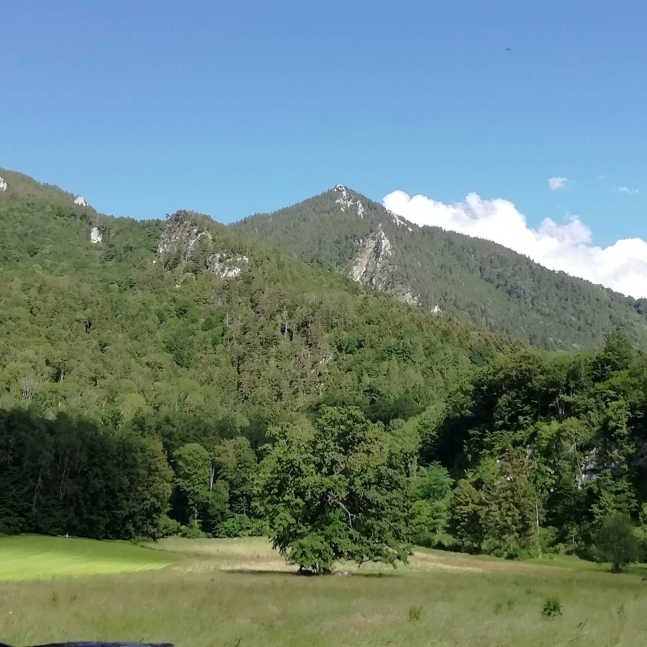 Ganze Ferienwohnung, Ferienwohnung Erika - Ferienwohnung Erika, 1-2 Personen, 65qm, 1 Schlafzimmer, 2 x Wc, Wlan in Marquartstein, Bayerische Alpen