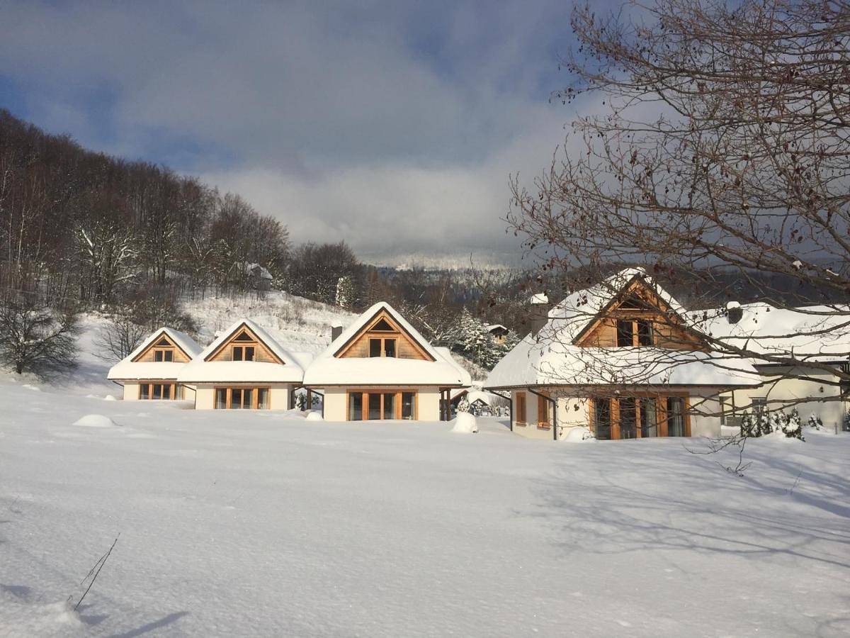Two-Bedroom Chalet in Szczyrk, Karpaty (Polska)