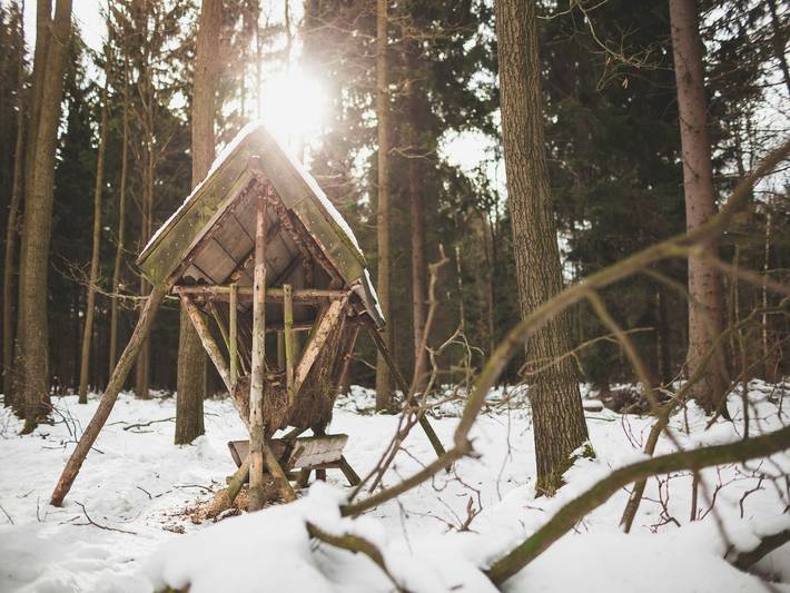Ferienwohnung für 7 Personen, mit Pool und Terrasse sowie Sauna, kinderfreundlich in Großschönau - 2