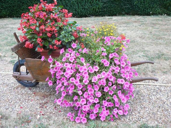 Location de vacances pour 5 personnes, avec jardin et terrasse à Cangey - 3