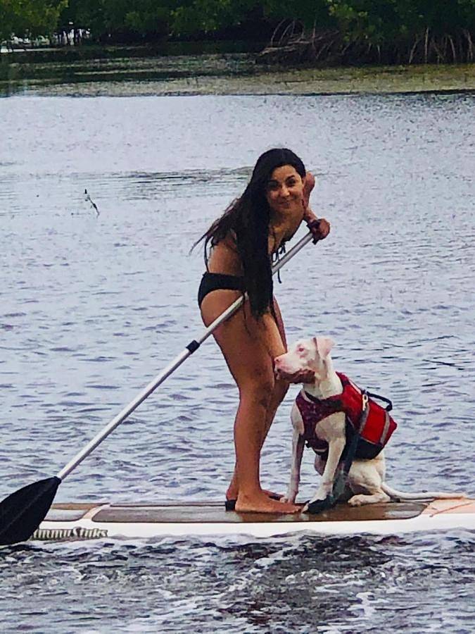 Camping pour 4 personnes, avec jacuzzi et piscine ainsi que jardin et bassin pour enfant, animaux acceptés dans Floride - 2