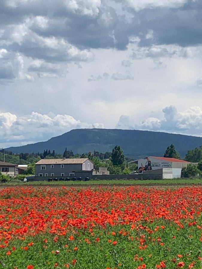 Location de vacances pour 6 personnes, avec piscine ainsi que jardin et vue, adapté aux familles à Pomas - 2