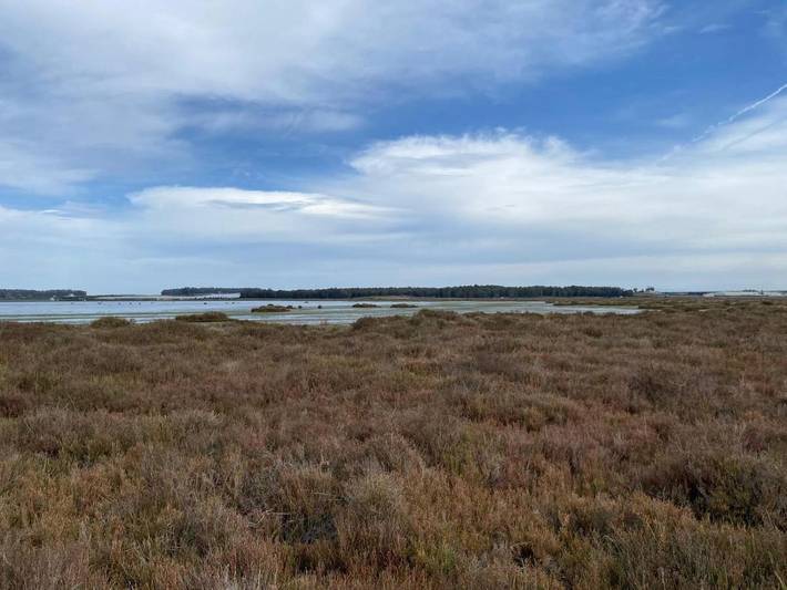Location de vacances pour 3 personnes, avec jardin à Moulay Bousselham - 4