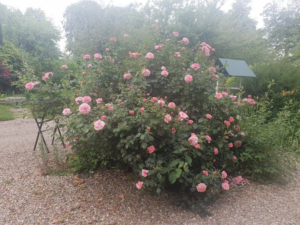 Ferme du Cèdre - Chambre Amande in Foucart, Région du Havre