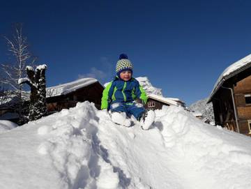 Bauernhof für 5 Personen in Au, Lechquellengebirge, Bild 2