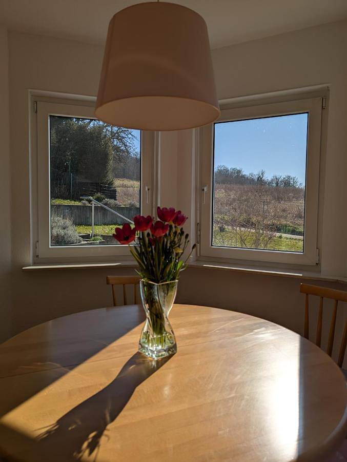 Ferienwohnung für 4 Personen, mit Terrasse und Garten sowie Ausblick in Ettlingen - 4