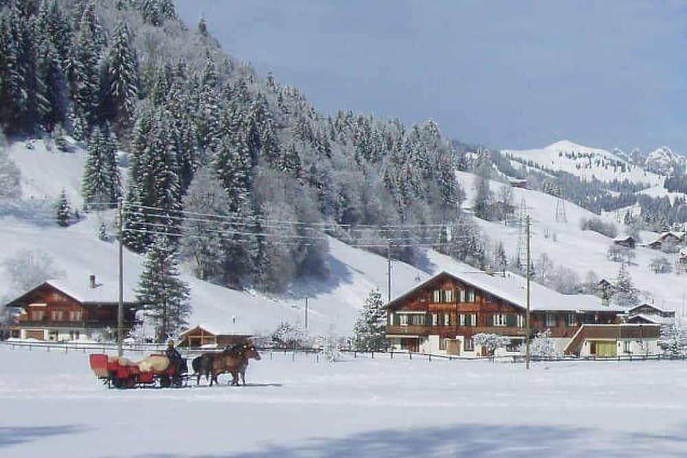 Ganze Wohnung, Baumerhus Appartement/Fewo, Dusche oder Bad, Wc 2-Bettwohnung in Gstaad, Saanen