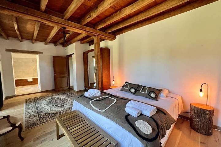 Gîte pour 26 personnes, avec sauna ainsi que jacuzzi et jardin, animaux acceptés à Villemurlin - 3