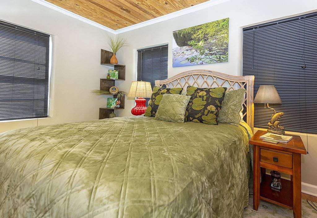 2 bedroom downstairs The Henry House and Queen pull out sofa in Bainbridge, Georgia