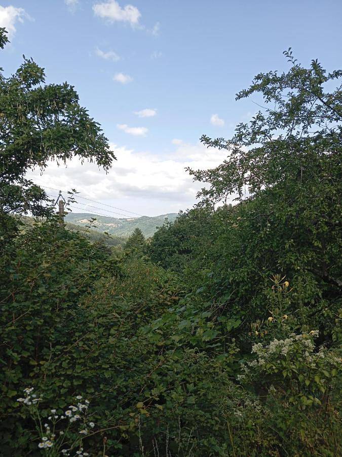 Gîte pour 4 personnes, avec terrasse, animaux acceptés à Saint-Agrève - 2
