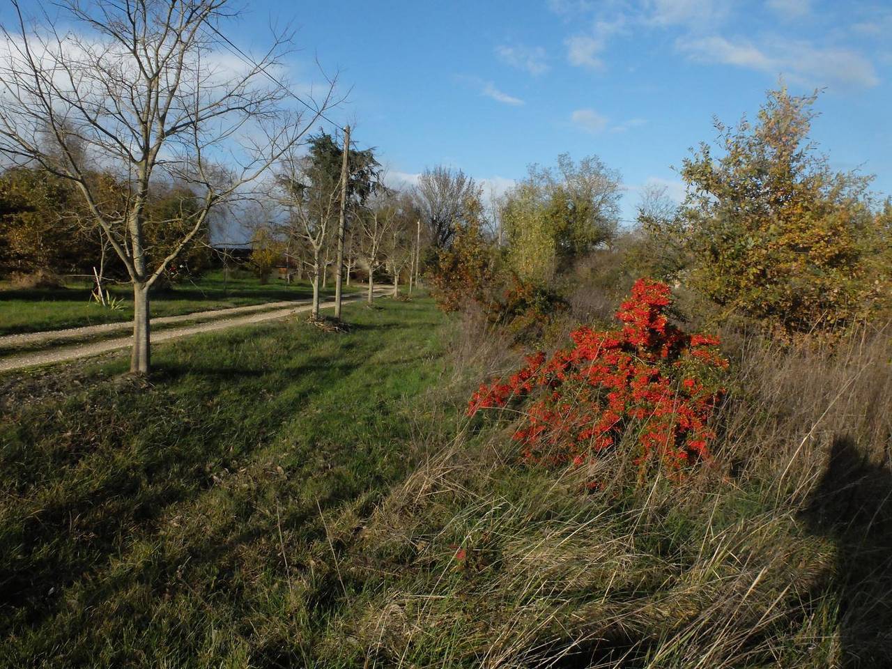 Terre de Sabonnères in Poucharramet, Toulouse et ses environs
