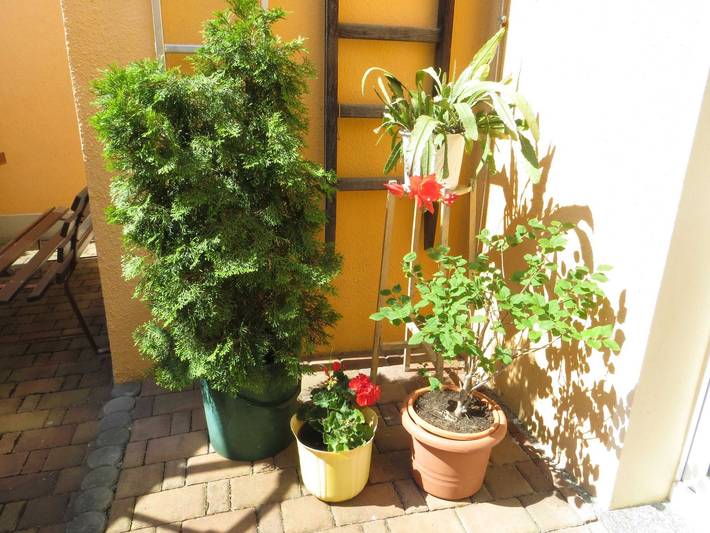 Ferienwohnung für 2 Personen, mit Terrasse in Hoyerswerda - 4
