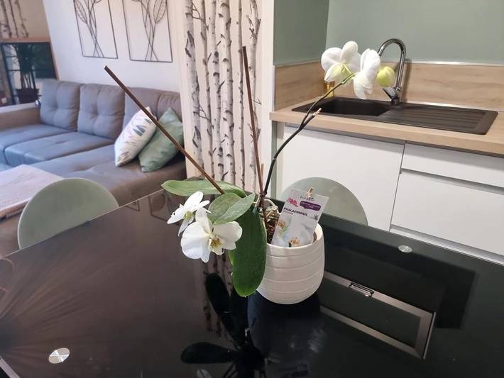 Gîte pour 4 personnes, avec vue et balcon, animaux acceptés à Claix - 4