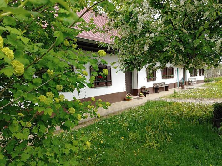 Location de vacances pour 6 personnes, avec jacuzzi ainsi que jardin et piscine dans Ormož - 4