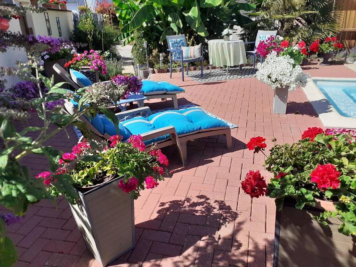 Gîte pour 4 personnes, avec jardin ainsi que piscine et terrasse, animaux acceptés à Bindernheim - 4