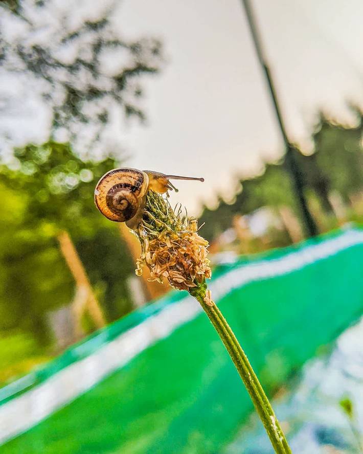 Location de vacances pour 3 personnes, avec jardin, adapté aux familles à Uzemain - 4