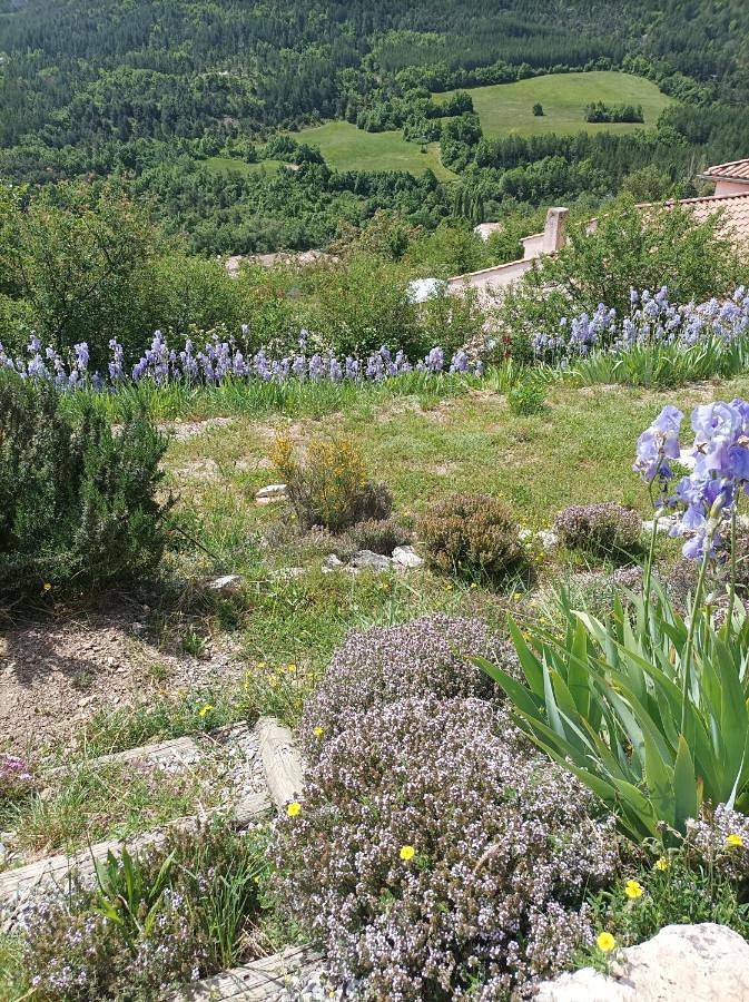 Gîte pour 2 personnes, avec piscine ainsi que jardin et vue à Orpierre - 3