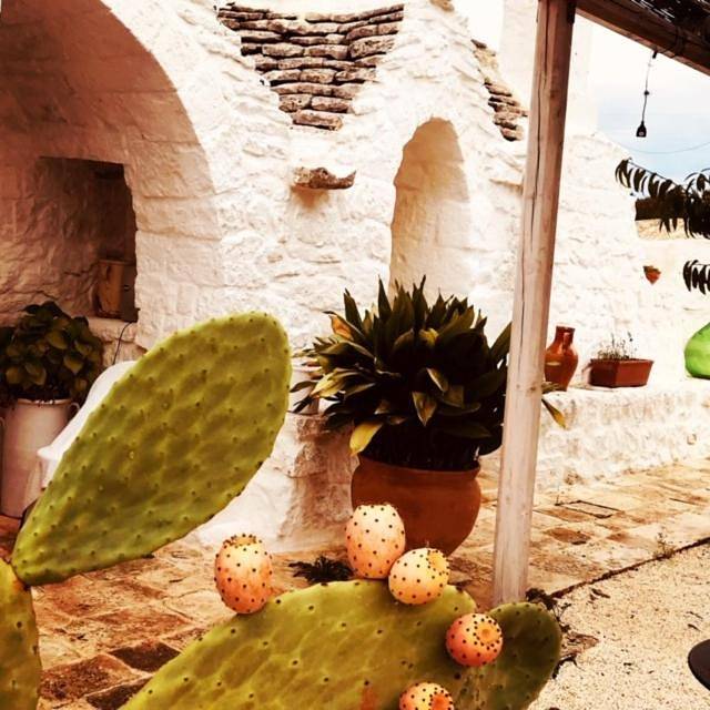 Borgo trulli 1789 in Ostuni, Salento