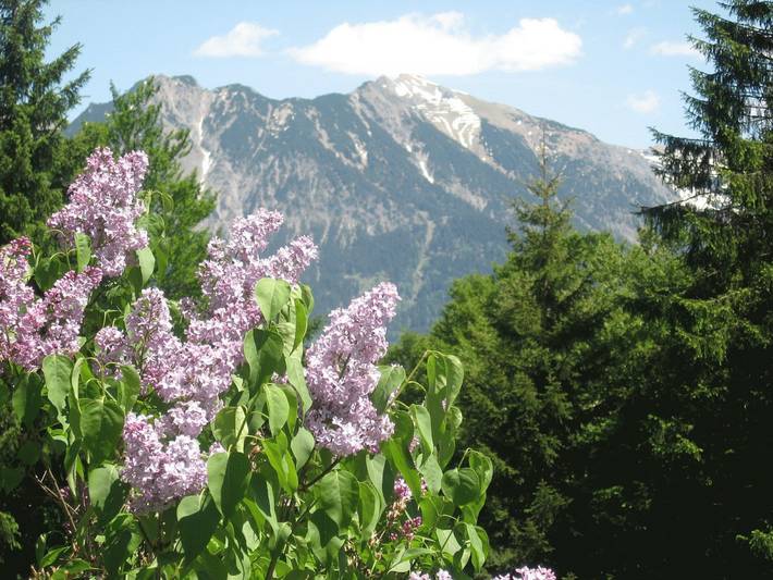 Ferienwohnung für 3 Personen, mit Terrasse und Garten in den Bayerische Alpen