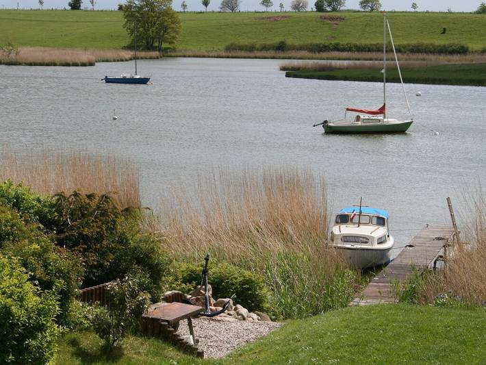 Waterküken am Bootssteg in Kosel, Rendsburg-Eckernförde
