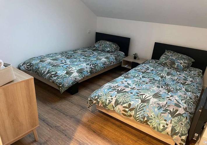 Gîte pour 6 personnes, avec terrasse et jardin à Saint-Pierre-en-Faucigny - 2