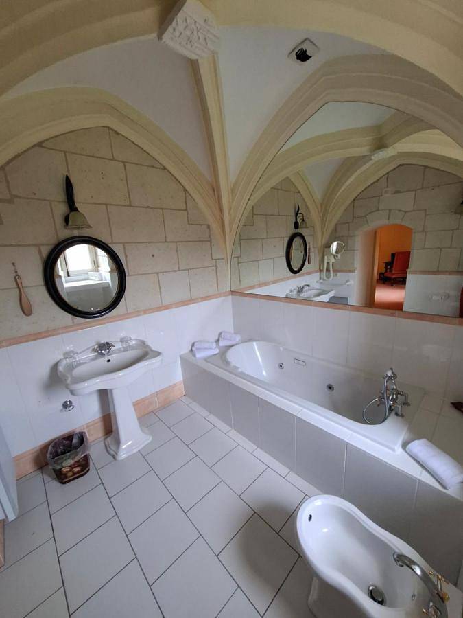 Hôtel pour 24 personnes, avec jacuzzi et jardin à Noyant-de-Touraine - 3