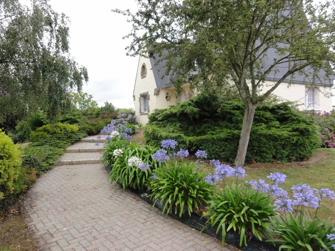 Les Agapanthes in Yvias, Côte de Goëlo