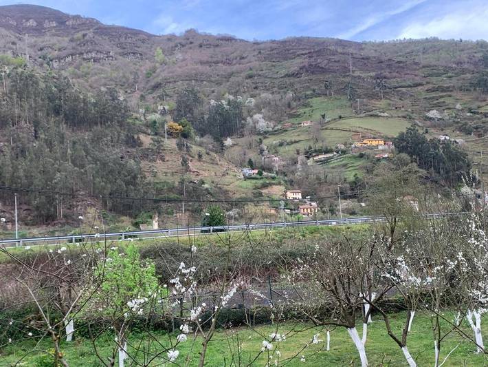 Casa rural para 8 personas, con jardín además de balcón y vistas en Comarca del Caudal - 4