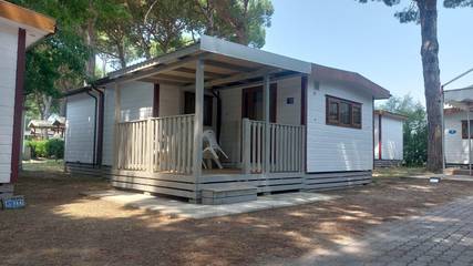 Ferienhaus für 5 Personen in Cavallino-Treporti, Venedig Provinz, Bild 3