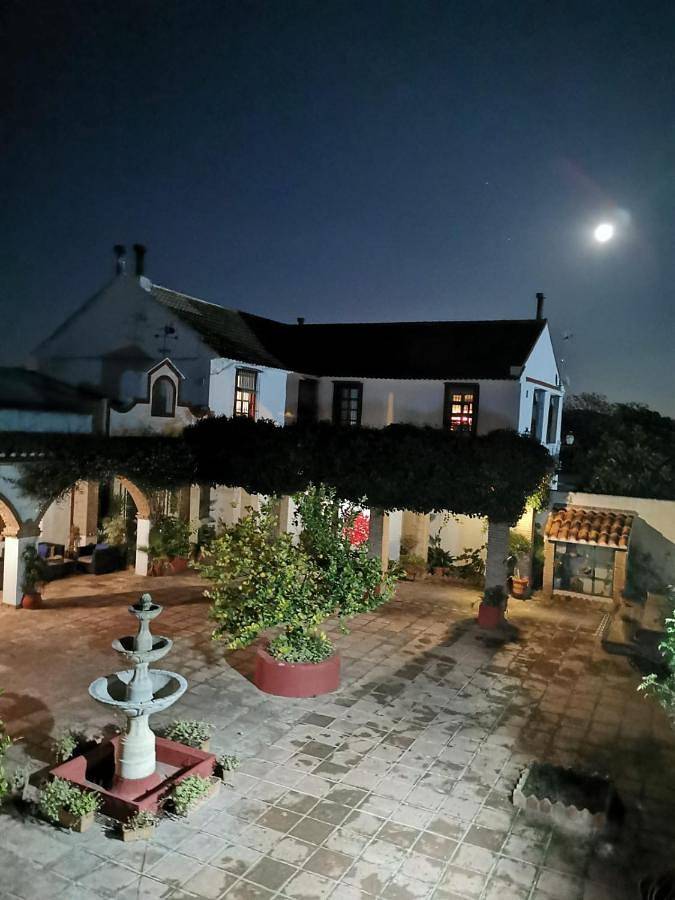 Location de vacances pour 3 personnes, avec vue et terrasse ainsi que jardin et piscine, animaux acceptés à Antequera - 2