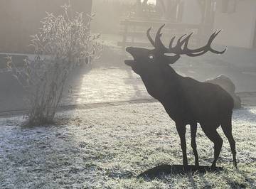 Ferienpark für 4 Personen in Lechbruck am See, Romantische Straße, Bild 4