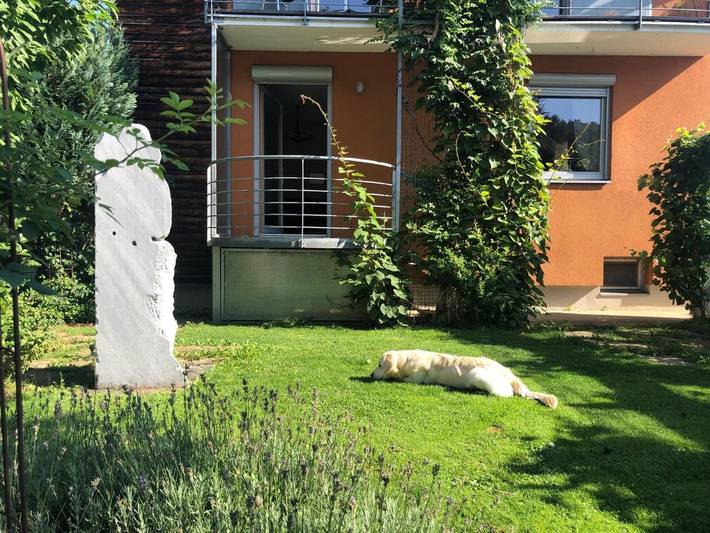 Ferienwohnung für 3 Personen, mit Garten in Lavanttal - 2