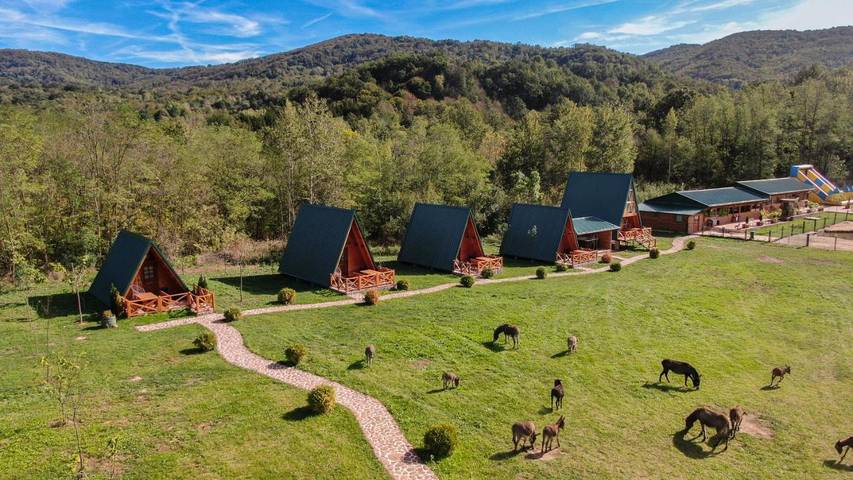 Appartement de vacances pour 6 personnes, avec sauna et terrasse ainsi que vue et piscine, animaux acceptés