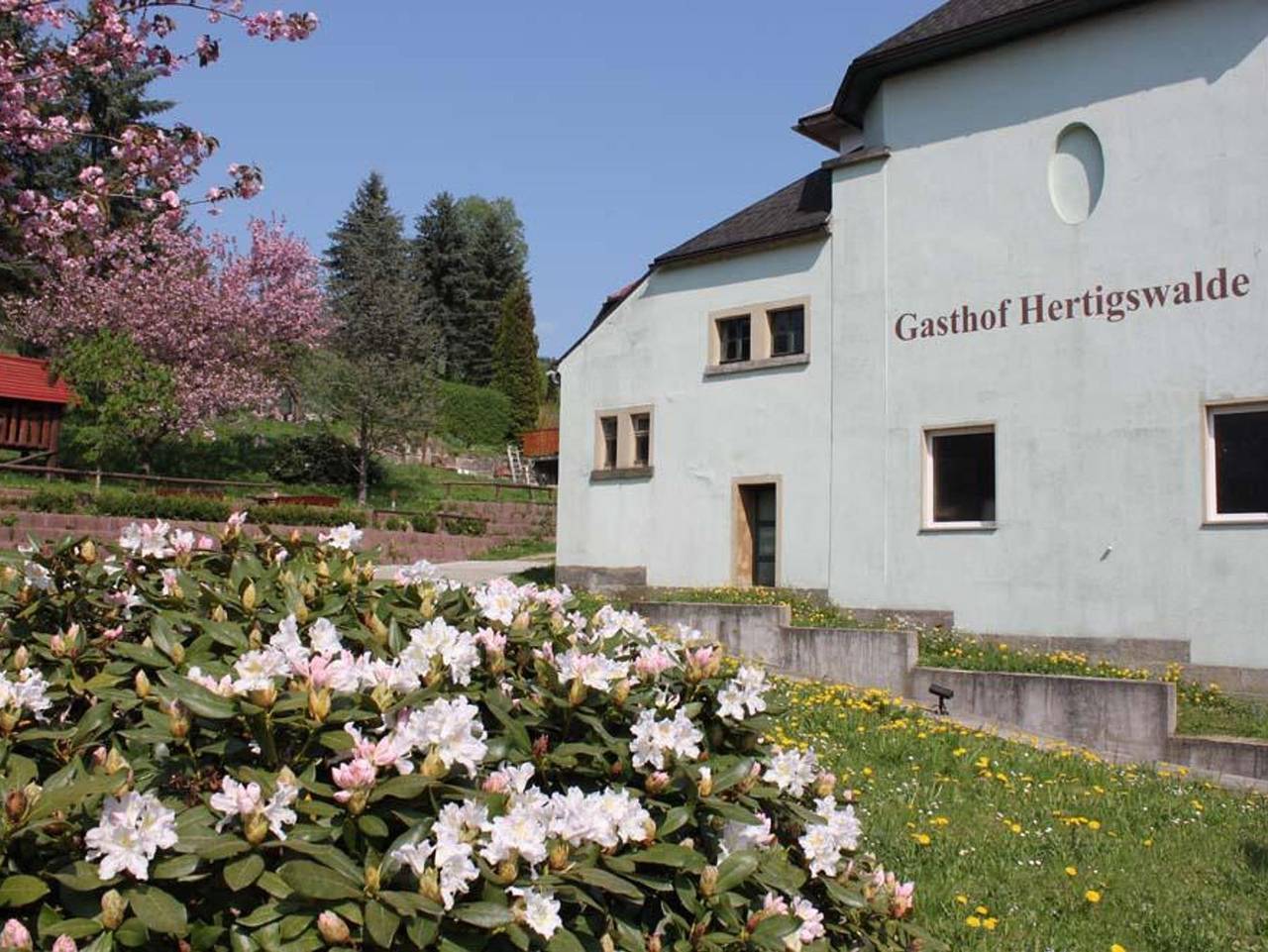 Gasthof Hertigswalde - Dreibettzimmer, Dusche, Wc in Sebnitz, Elbsandsteingebirge