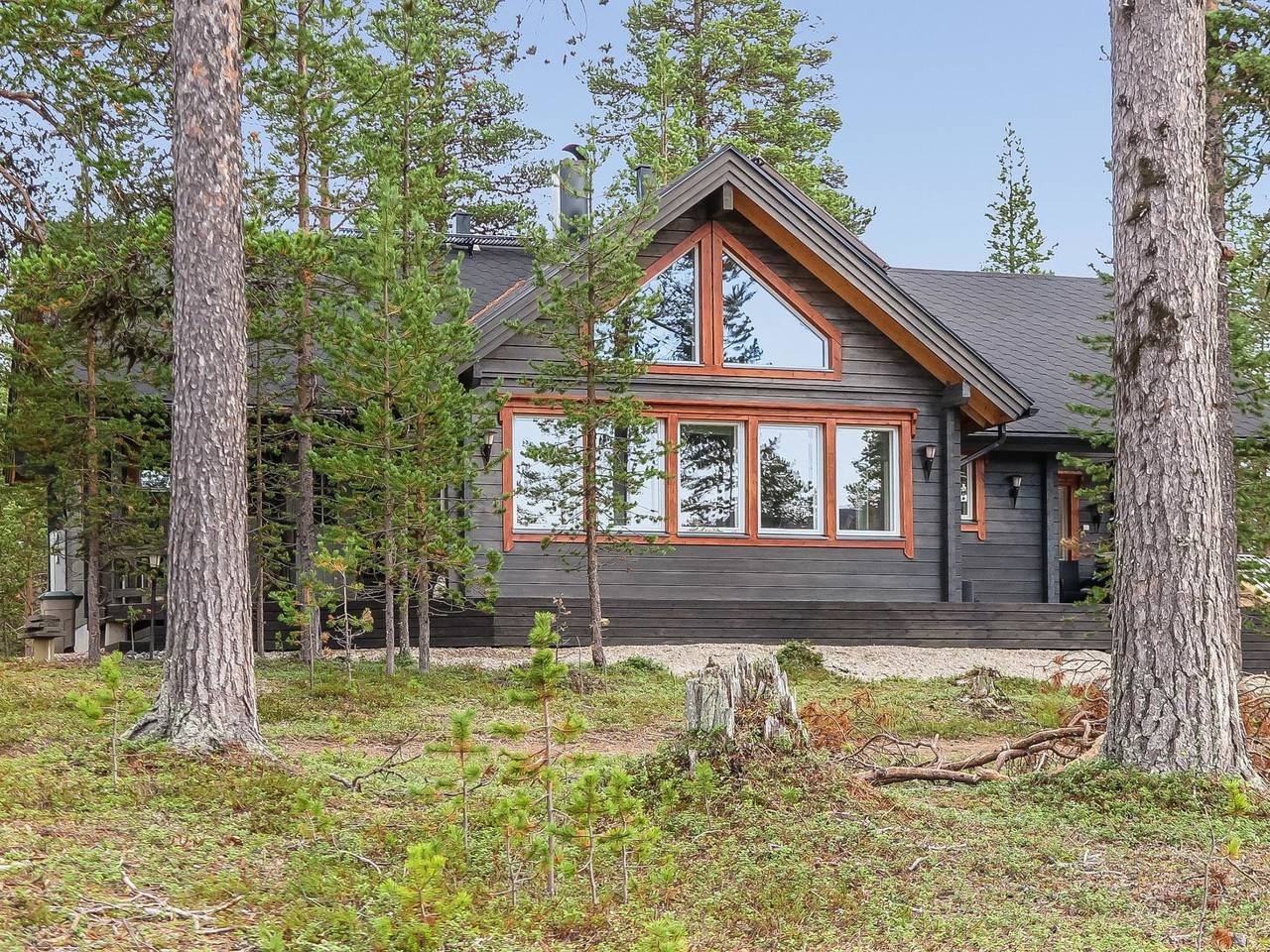 Homma in Lappland