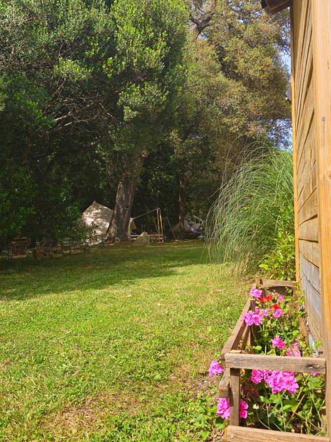 Tente pour 2 personnes, avec jardin ainsi que vue et terrasse à Porto-Vecchio - 2