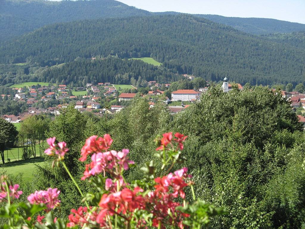 Appartementhaus im Himmelreich - Appartement Osser 25 qm / mit Terrasse, foto 7