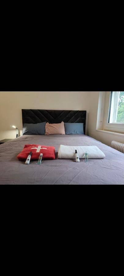 Gîte pour 3 personnes, animaux acceptés à Versoix - 2