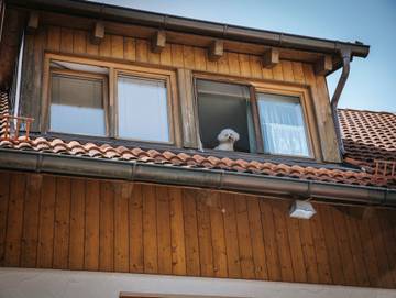 Ferienwohnung für 5 Personen in Dießen am Ammersee, Ammersee, Bild 1