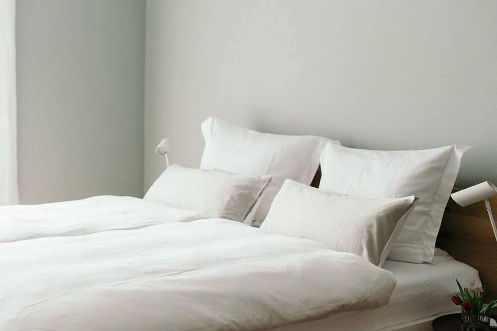 Geheel appartement, Ferienwohnung \"steinreich\" Eg - Moselhaus by Clüsserath-wittmann in Trittenheim, Moseleifel