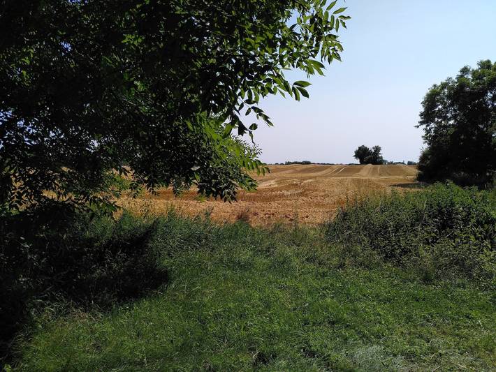 Ferienhaus für 2 Personen, mit Garten und Sauna in Uckermark - 3