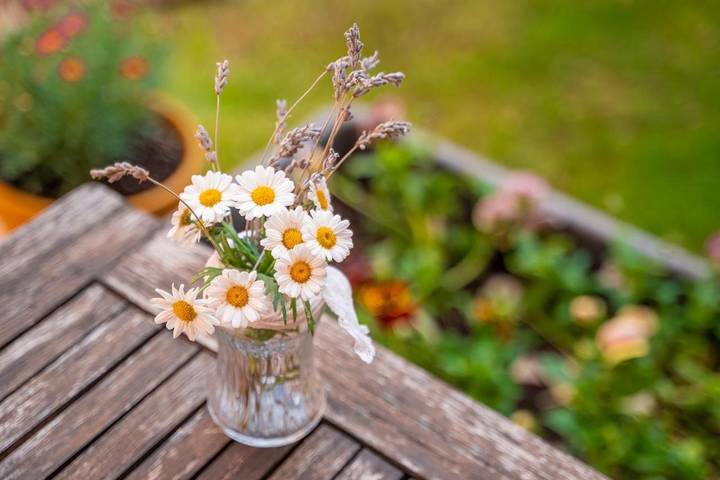 Casa rural para 3 personas, con jardín y jacuzzi en Aragón - 3